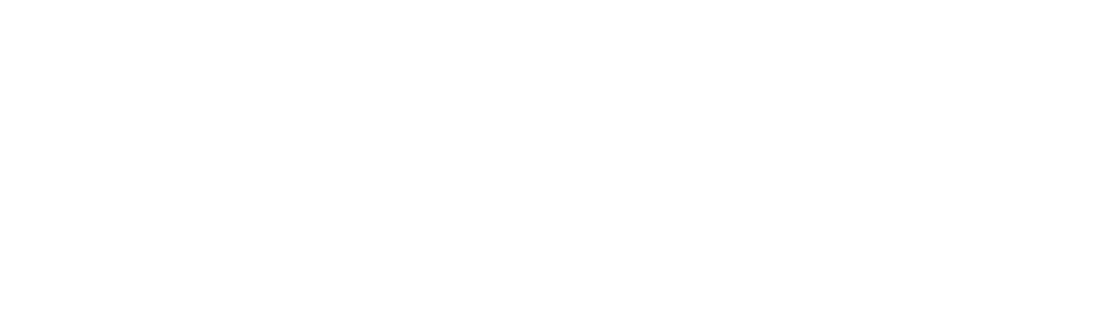 logo-light